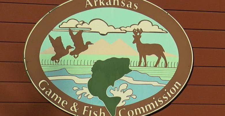 Arkansas Game And Fish Announces Tagged Catfish Program – Southwest ...